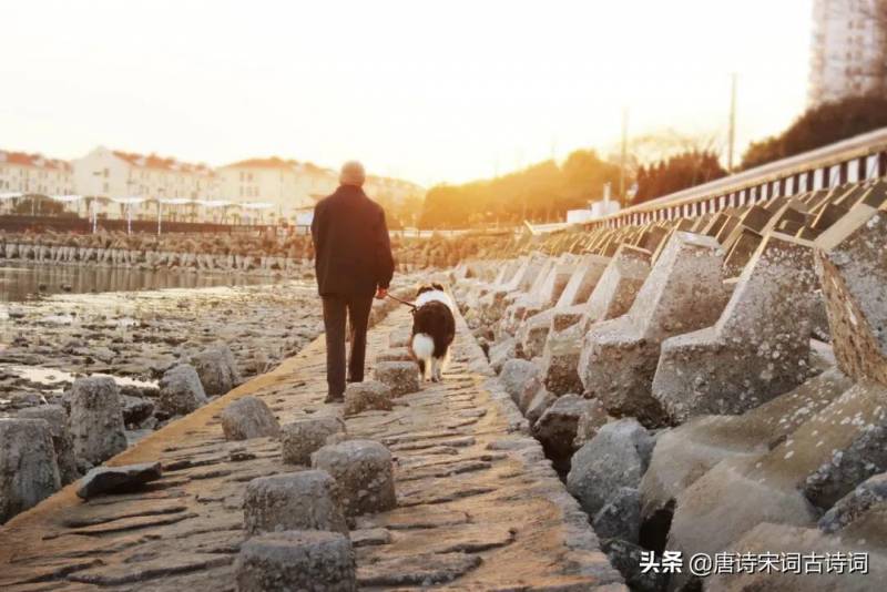 有一首诗是柴门闻犬吠