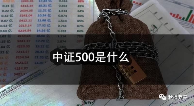 中证500的股票怎么样？