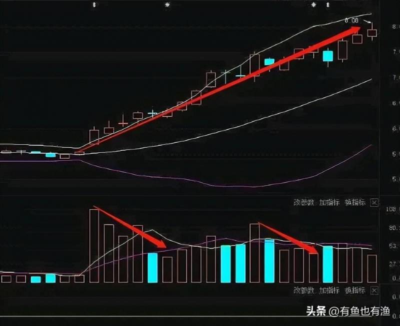 散户的炒股历程怎么看？