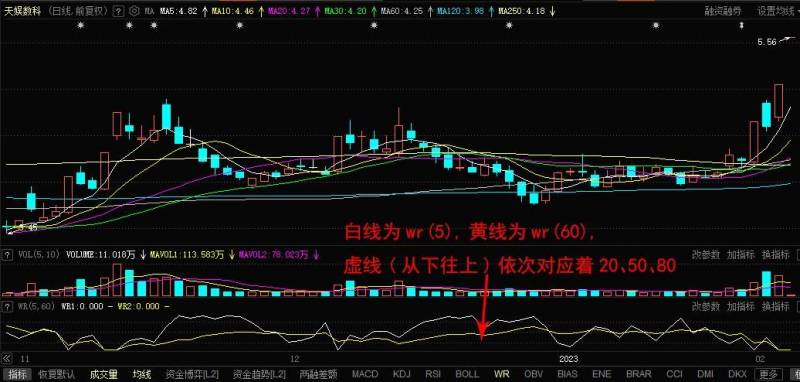 威廉指标正确的用法是