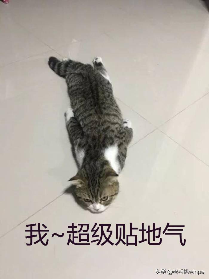 鲁大师测温度准吗？