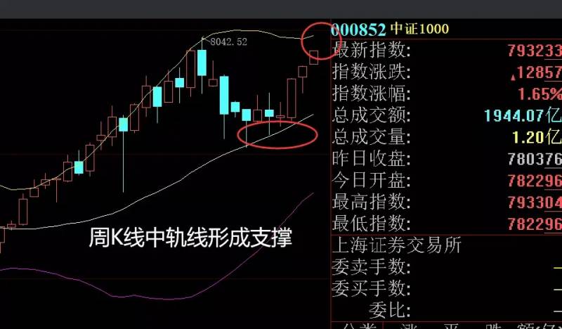 午评惯性的股票有哪些？