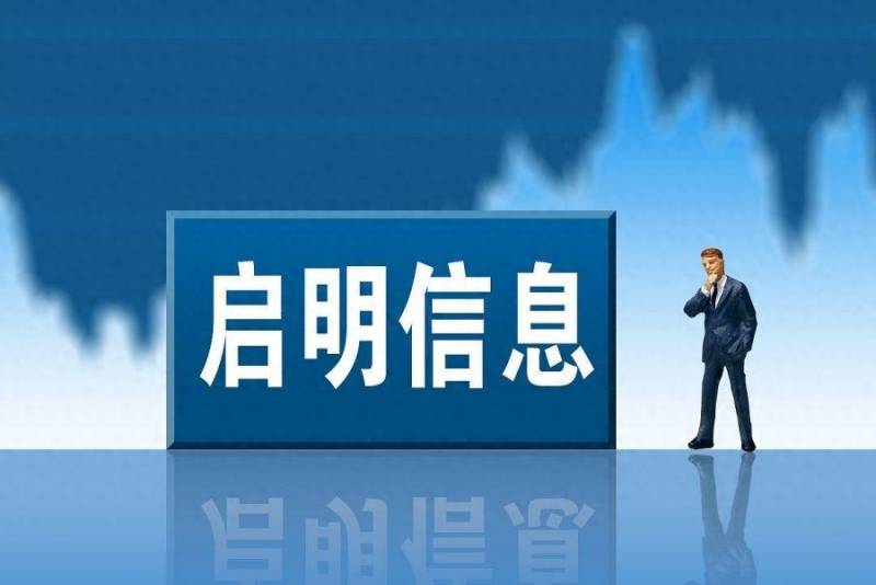 启明信息股份有限公司是干嘛？