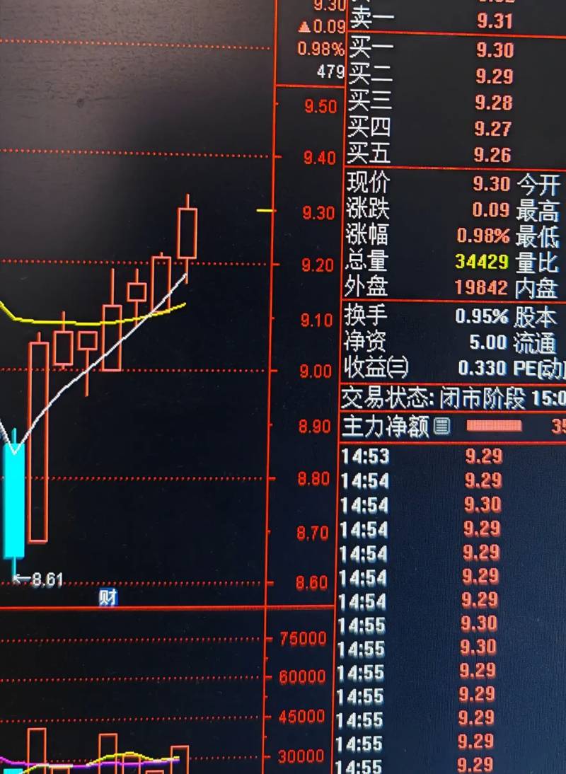 红塔证券模拟炒股在哪里找？