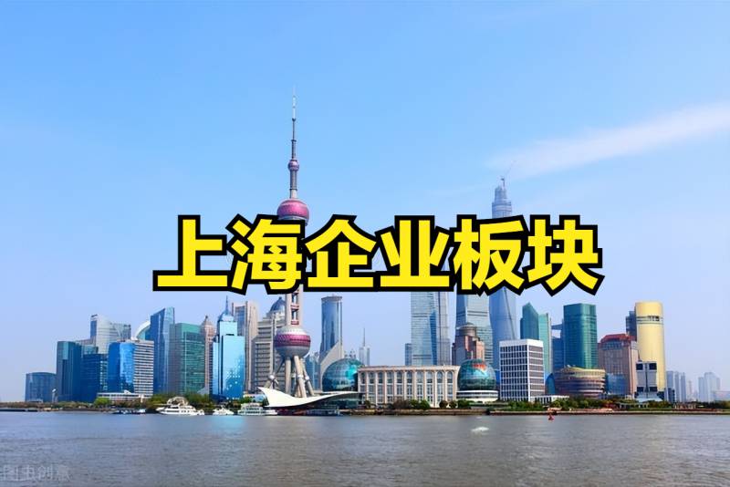 上海股票板块有哪些上海本地股有哪些上市公司？