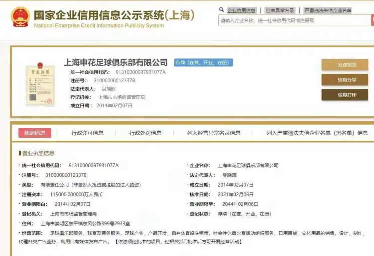 上海绿地申花老板是哪个上市公司？