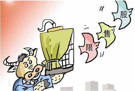 限售的类型是哪些股？