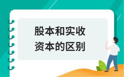 股本结构与规模是什么？