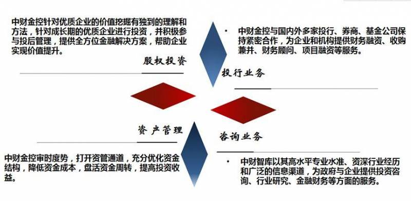 中财集团控股上市公司有什么？