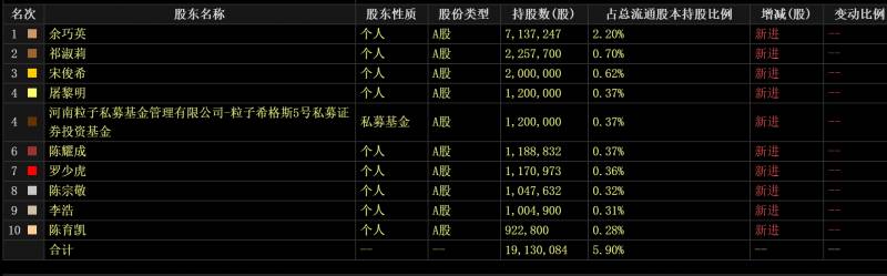 上市公司大股东的定义是怎样的？