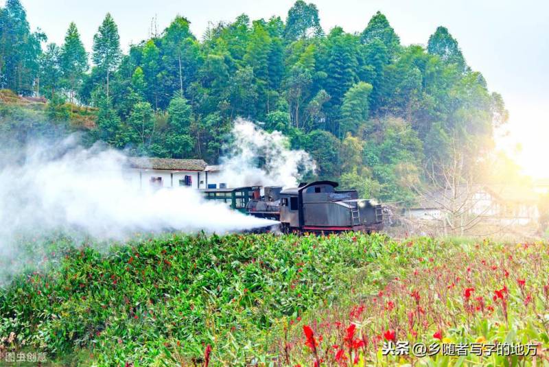 四川上市公司有哪些股票？