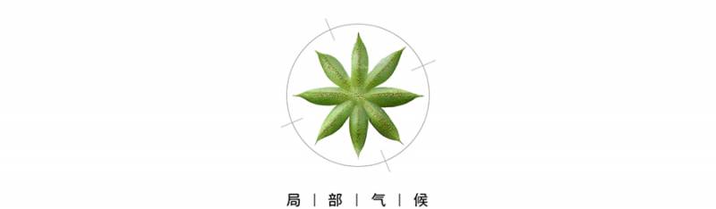 狼这种动物用什么量词？