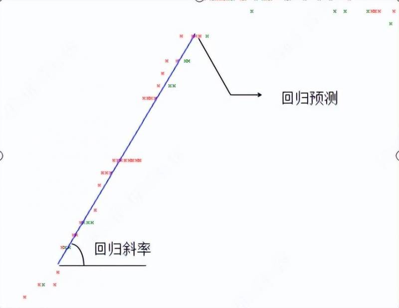 股票中单数是什么？