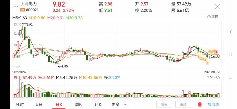 上海电力股票为什么休市请问600021上海电力后市该？