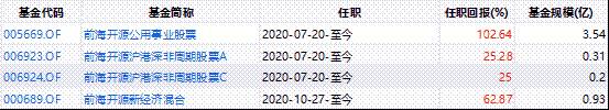 新经济基金怎么样？