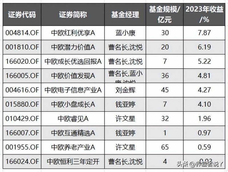 中欧中小盘股票基金怎么样？