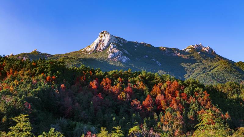 韶关云髻山枫叶什么时间红？