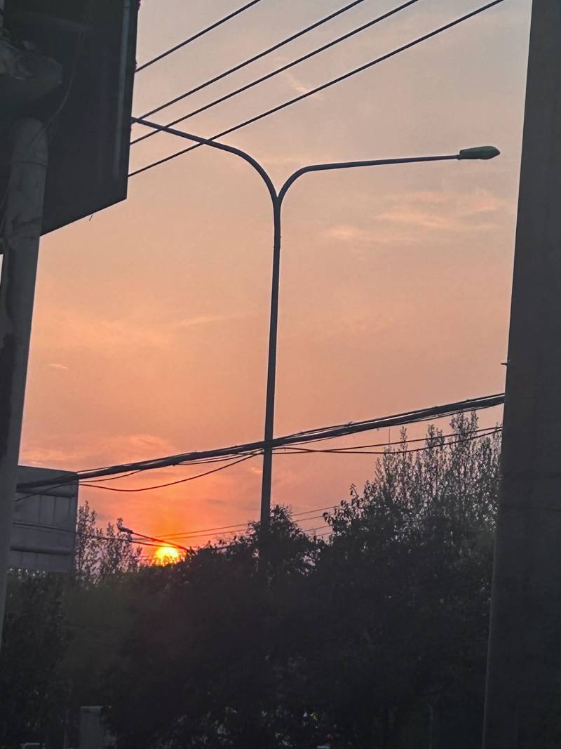 临床医学是干什么的？