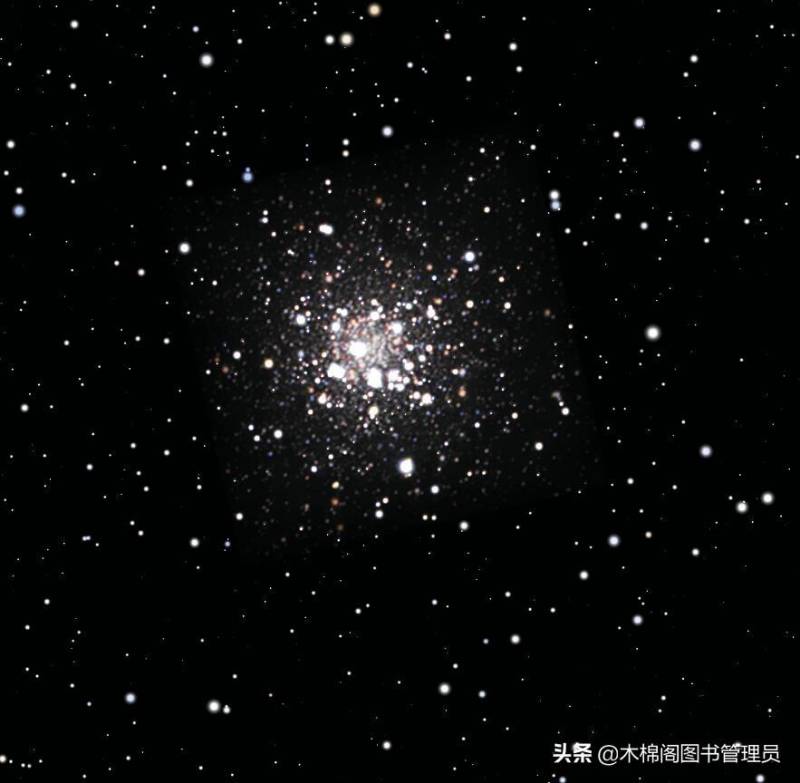 8.1号是什么星座？