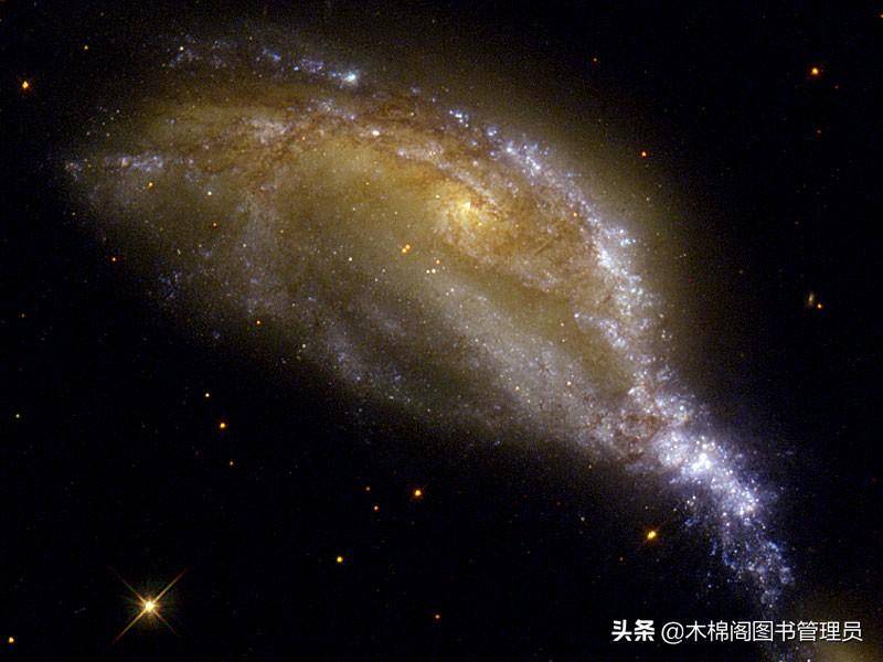 8.1号是什么星座？