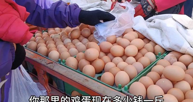 鸡蛋的价格多少一斤呢？