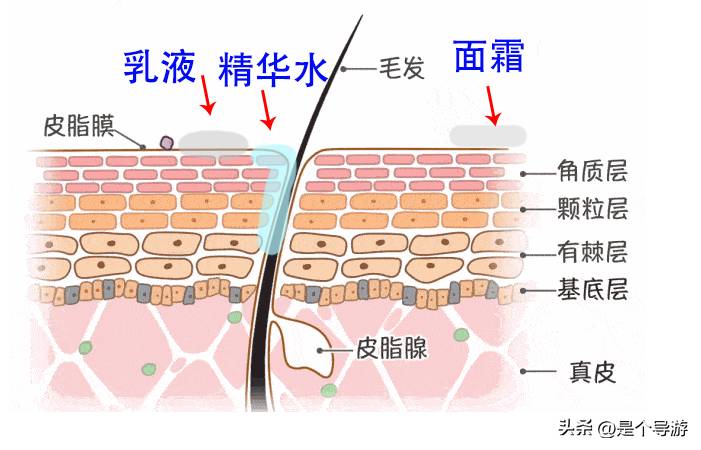 贵州百灵抗皱紧致嫩肤霜怎么样？