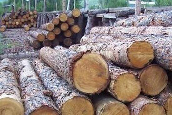 橡胶木是什么材质？
