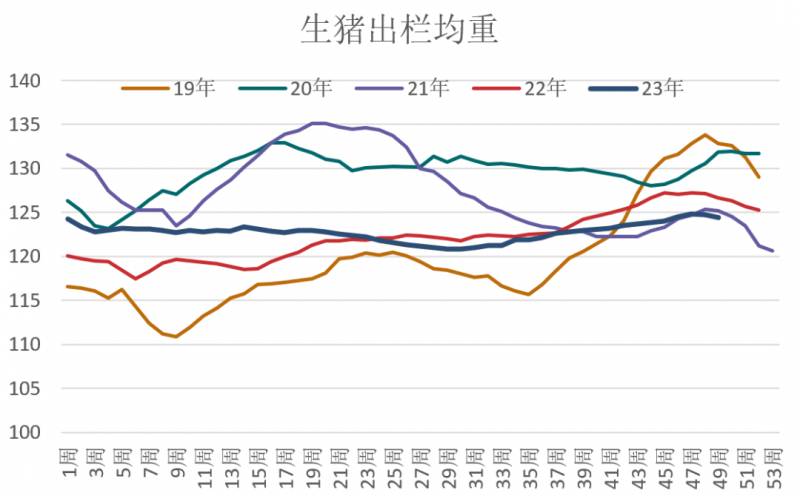 生猪价格大涨我们怎么看？