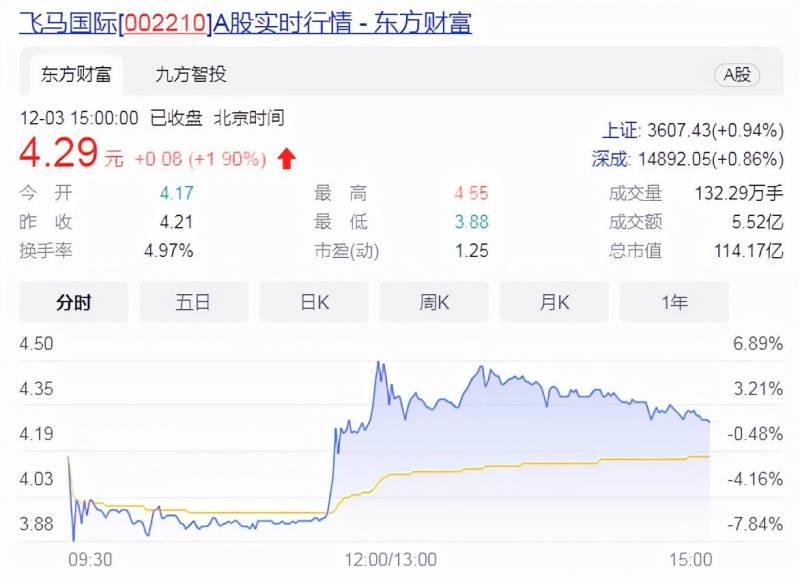 飞马国际股票可以长期持有吗？