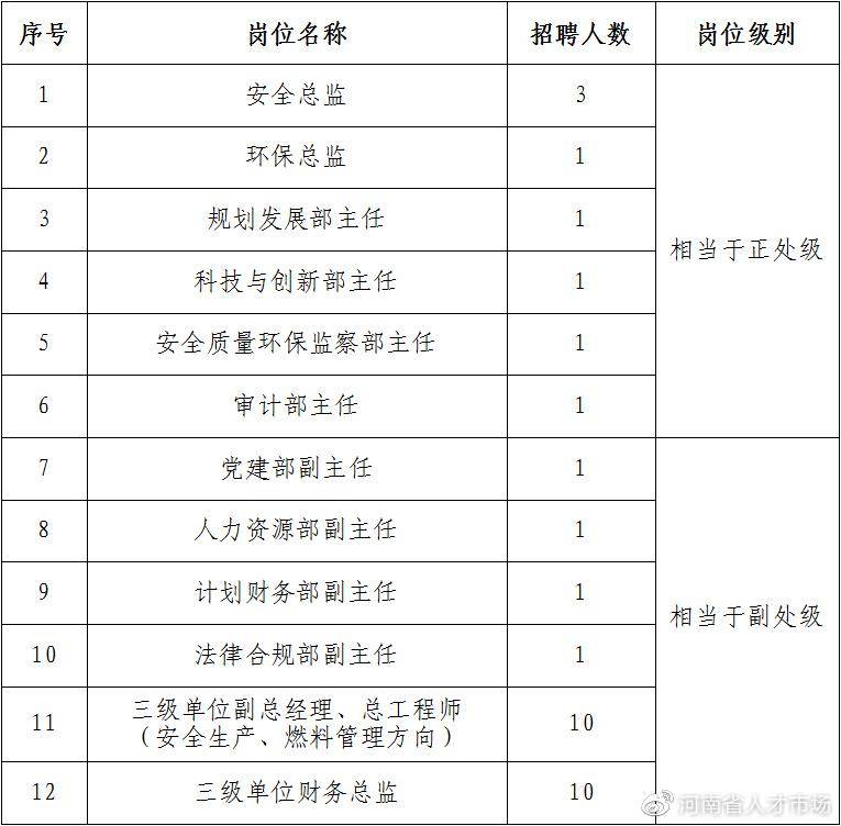 国电电力集团河南有限公司是国企吗？