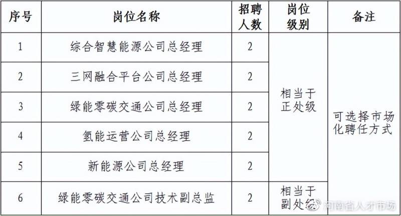 国电电力集团河南有限公司是国企吗？