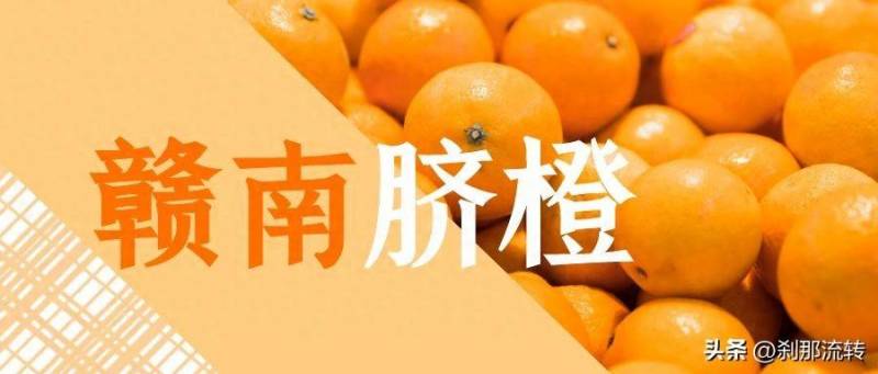 赣州脐橙多少钱一斤2023？