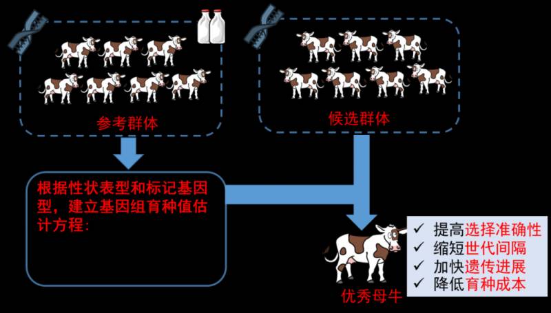 卫岗乳业是国企吗还是私企？