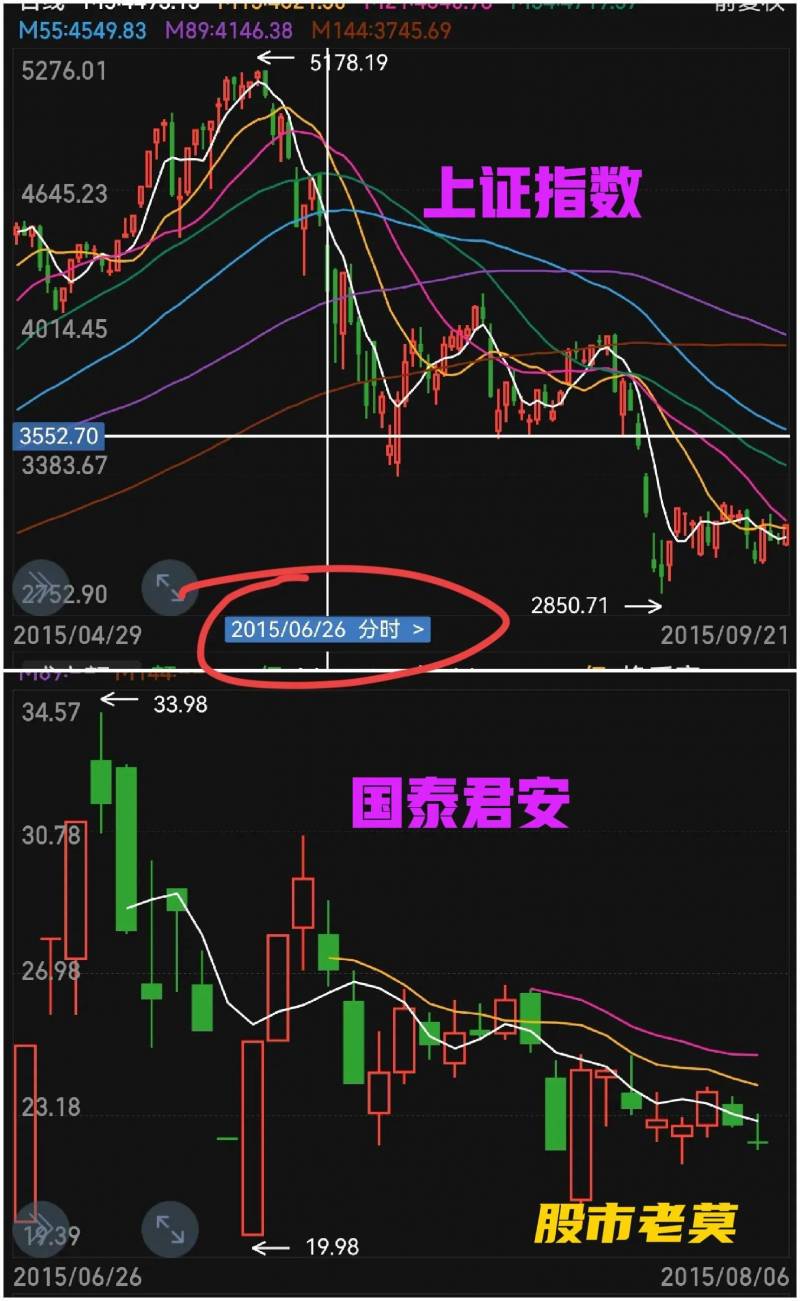 股指期货持仓龙虎榜在哪里看？