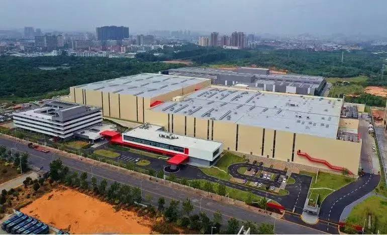 为什么要下架维他奶？