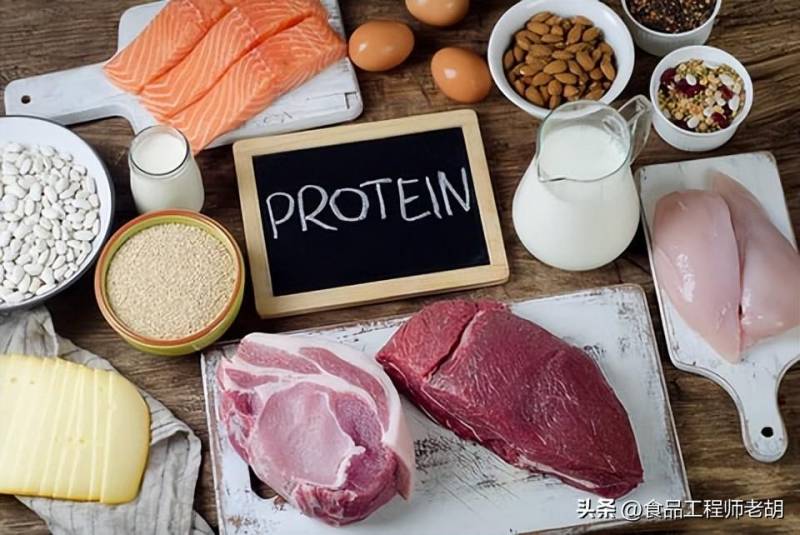 硬蛋白是什么意思？