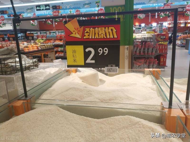 国际大米价格多少钱一斤？