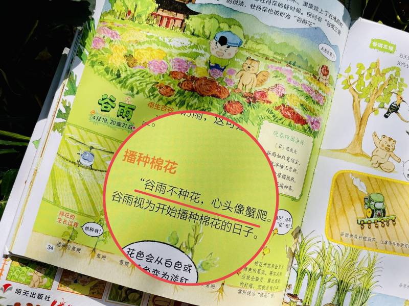 俞敏洪建议24节气都放假？引发网友热议与文化传承探讨