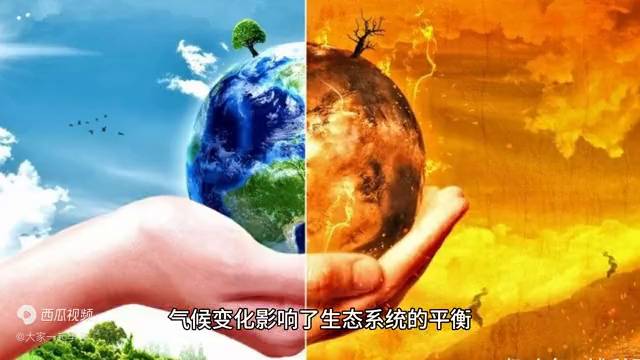 “气温升高可能导致什么？多维度影响及应对策略探究”