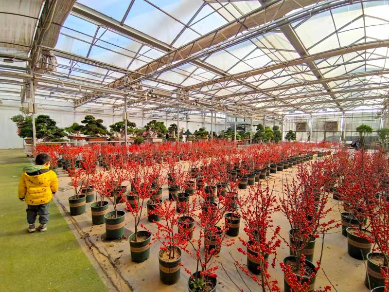北林科技花卉产业园搬迁新址，全新启航助力地区经济发展！