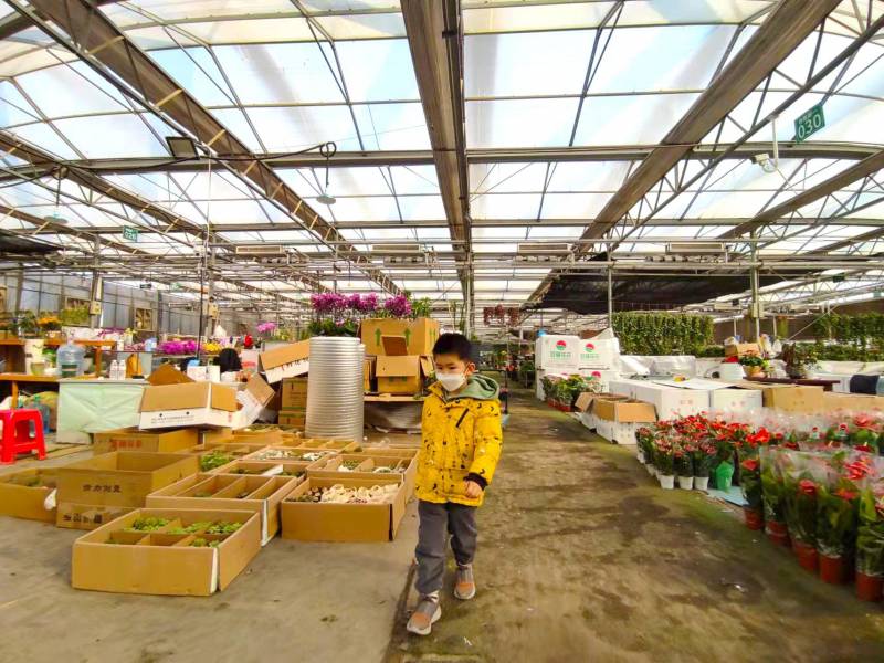 北林科技花卉产业园搬迁新址，全新启航助力地区经济发展！