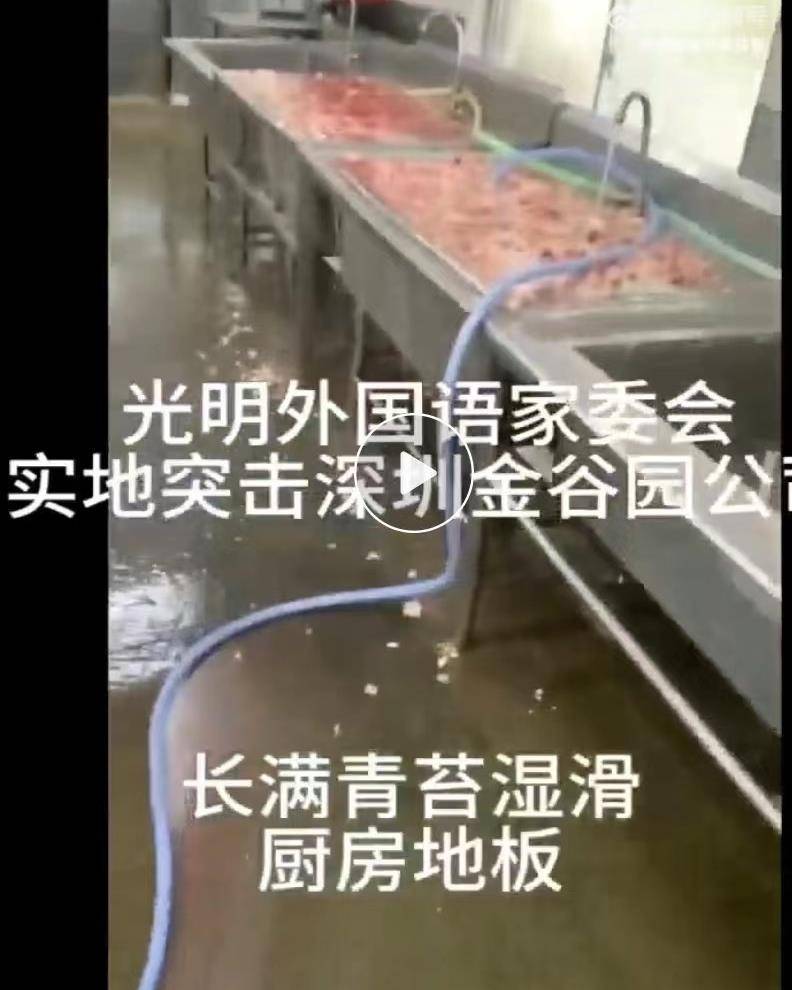 深圳金谷园配餐怎么样？营养均衡品质优，深受上班族好评的便捷餐选