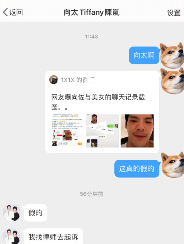 向华强是干什么的？向华强的儿子向佑犯的什么罪？