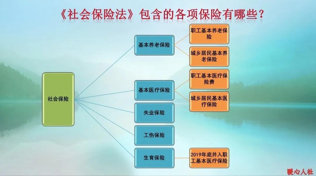 社保缴费基数和退休金，社保基数下调了还往回退钱吗？