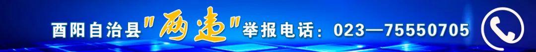 酉阳法院执行局名单，酉阳第七期失信名单