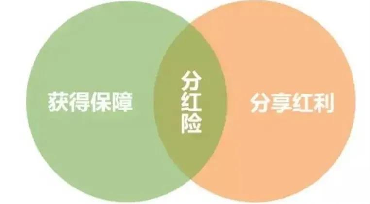 储蓄险，香港保险复利分红怎么计算？