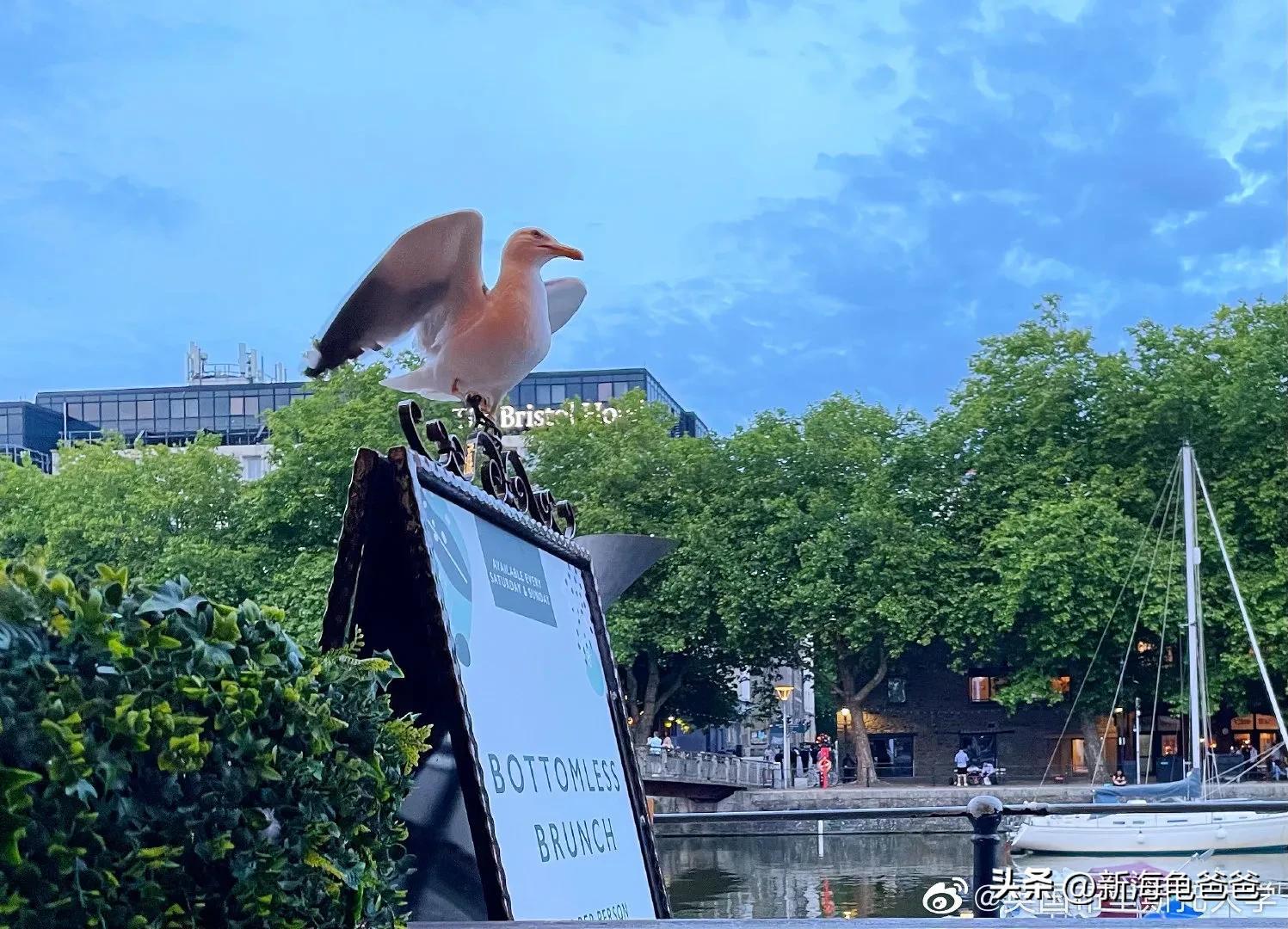 欧洲留学可以打工吗？去欧洲留学的欧洲十个国家留学花费院校专业打工实习政策对比