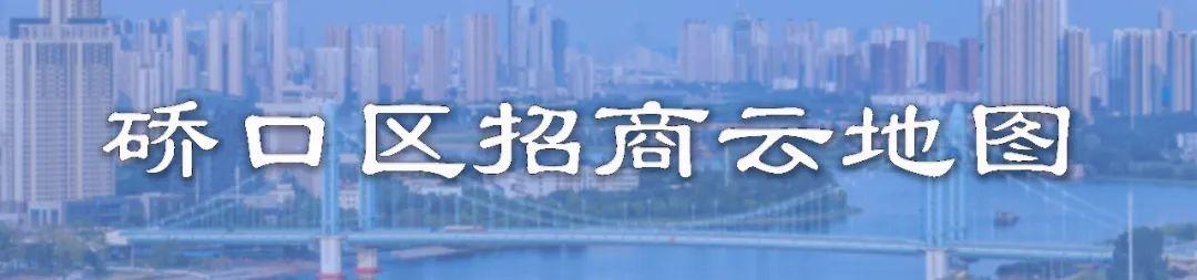 省市一体化信用信息服务平台已部署到，新突破！硚口区上线“一站式”信用查询，政务服务能力显著提升