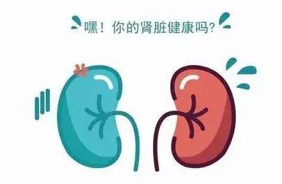 马齿苋有肾毒性吗？马齿苋吃了伤肾吗？