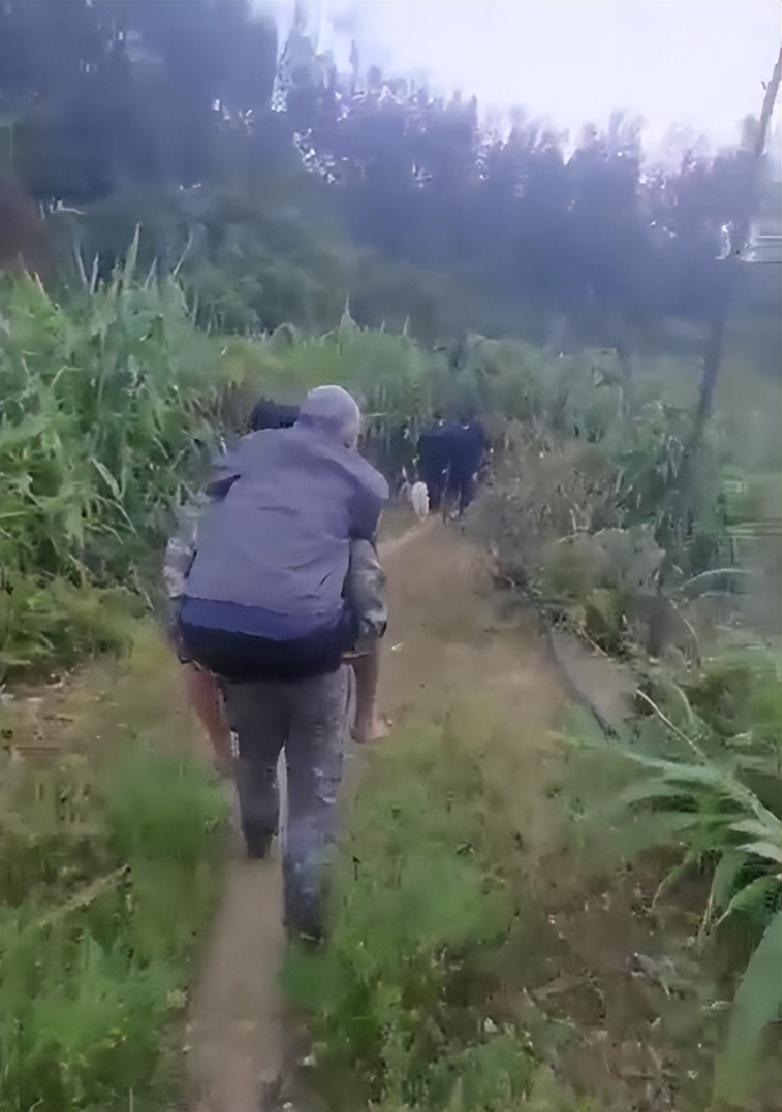 老人走失民警送回，老人深山走失，民警携警犬6小时全力寻回